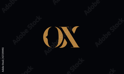 OX logo design template vector illustration