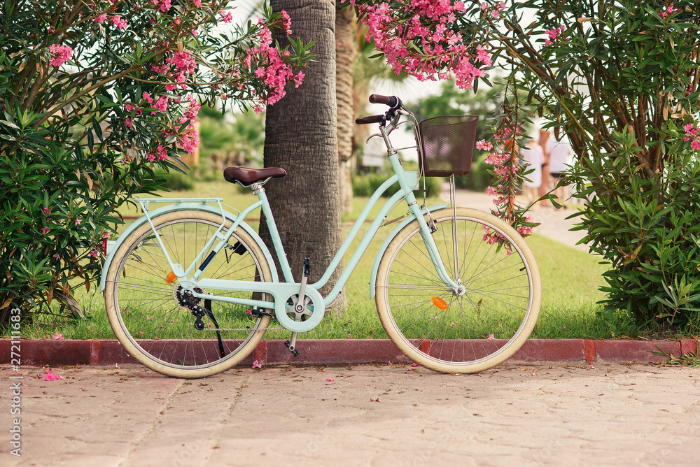 Vintage women's bike near green bushes with flowers
