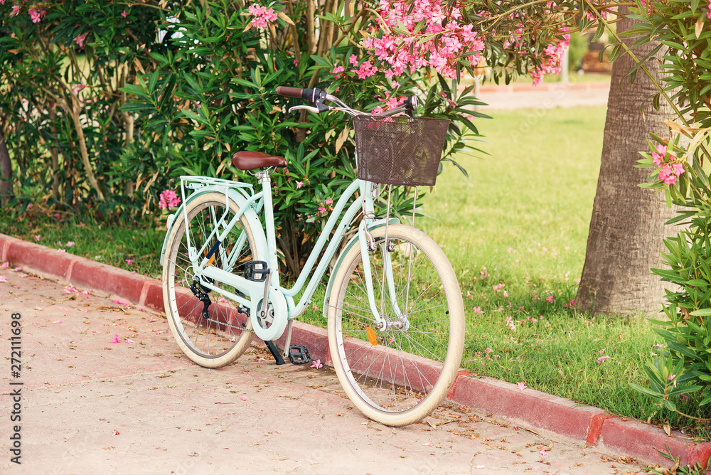 Women vintage bicycle against green bushes and pink flowers. Stylish retro bicycle with the basket parked on the street.