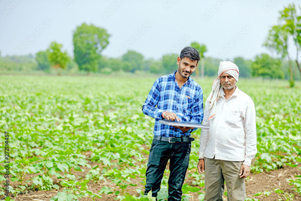agronomist with farmer at cotton field agronomist with farmer at cotton field