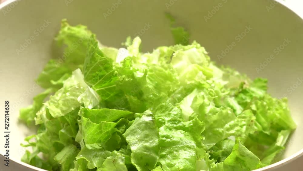 Serving a green salad made with fresh lettuce, arugula, rucola, radish, cabbage Serving a green salad made with fresh lettuce, arugula, rucola, radish, cabbage