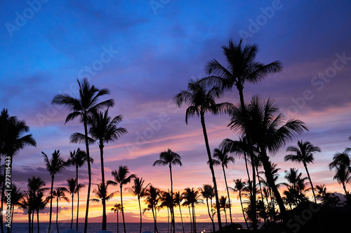A view of hawaiian sunset displaying sky covered with  various colors of purple and orange and the silhouette of palm trees. © JinHyun