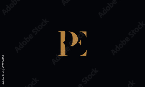 PE logo design template vector illustration