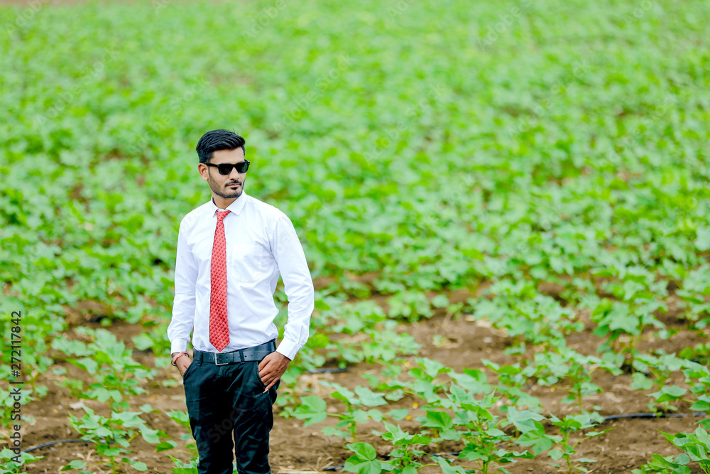agronomist at cotton field agronomist at cotton field