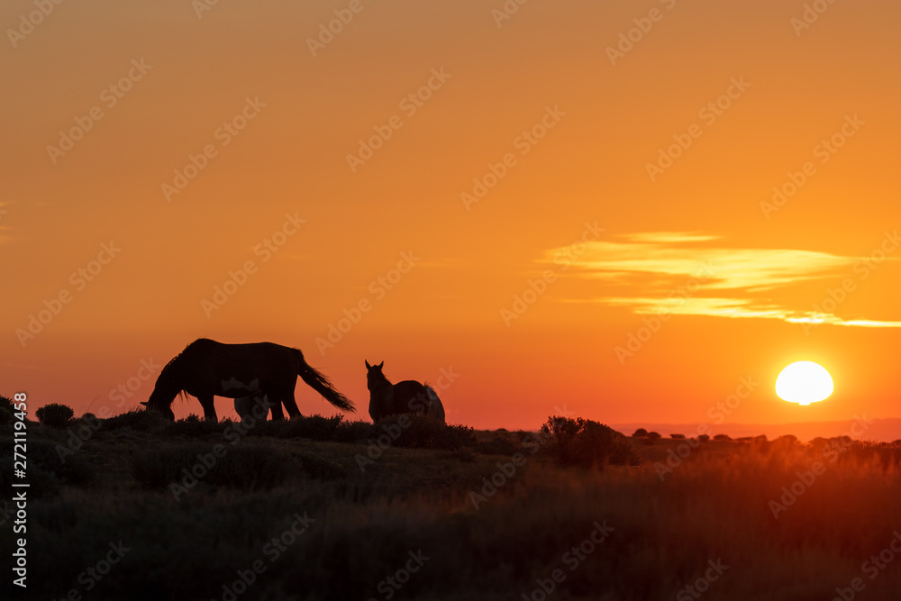 Fototapeta premium Wild Horses in a Beautiful High Desert Sunrise