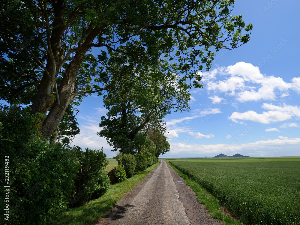 Fototapeta premium Terrils de Lens