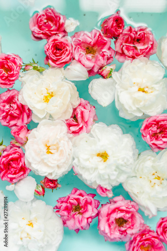 stunning floral texture of roses in water on blue background