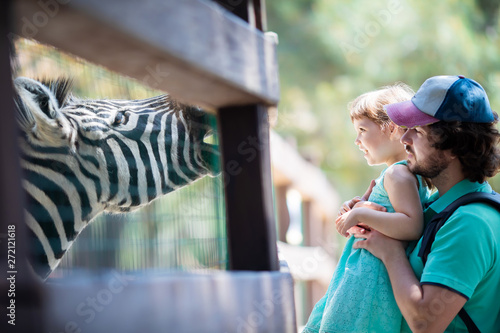 Zoo visitors feeding zebra through the fence