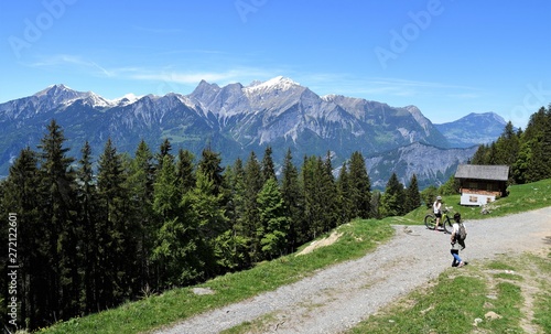 alpes..forêt