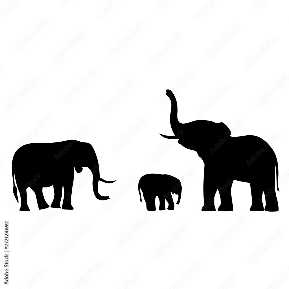 pictures elephants live in Africa