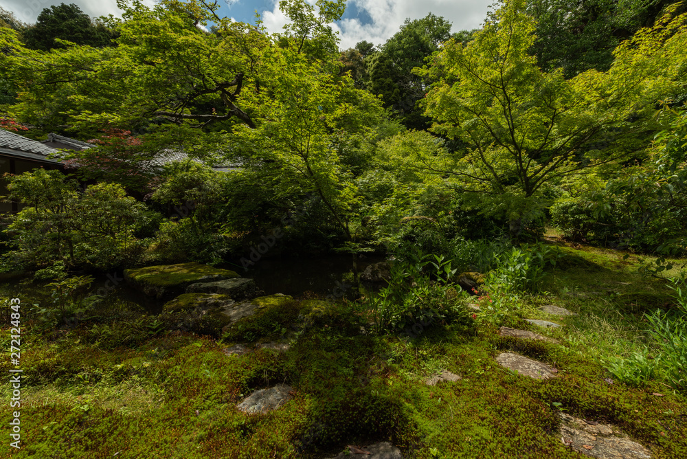 実相院 日本庭園 実相院 日本庭園