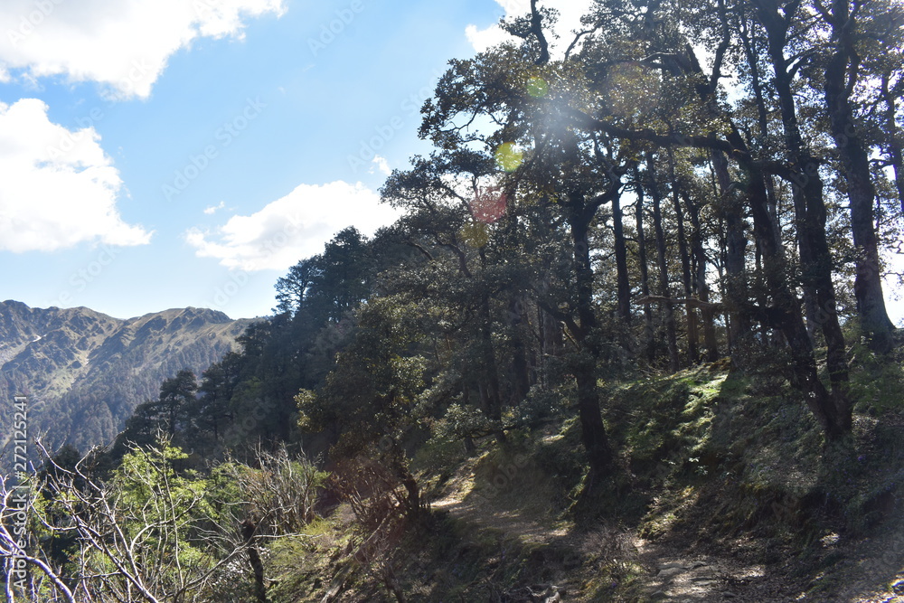 himalaya nature in panwali bugyal himalaya nature in panwali bugyal