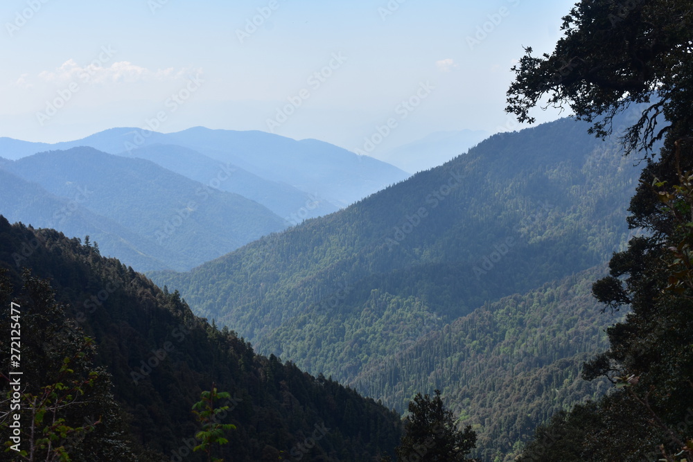 himalaya nature in panwali bugyal