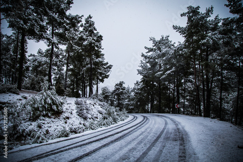 Road, Snow