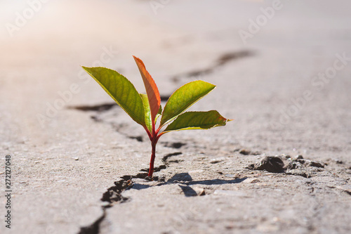 Concept of business break through