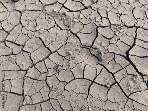 Area of Dried Land Suffering from Drought, ground cracks.
