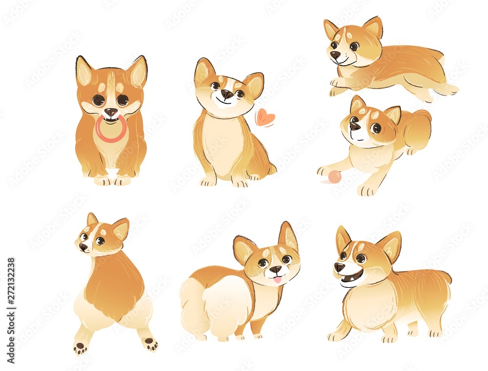 Set of Welsh Corgi dog standing and sitting in different poses cartoon style