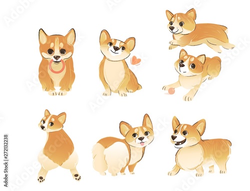 Set of Welsh Corgi dog standing and sitting in different poses cartoon style © sabelskaya
