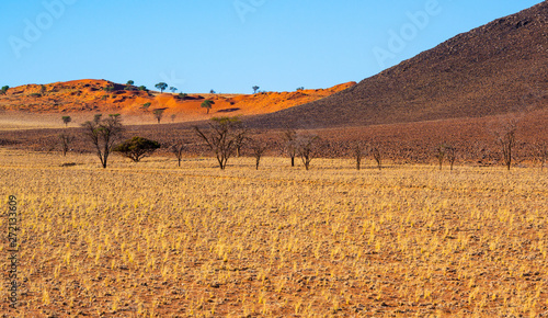 malerische Landschaft am Rande der Namib, NamibRand-Naturreservat, Namibia photo