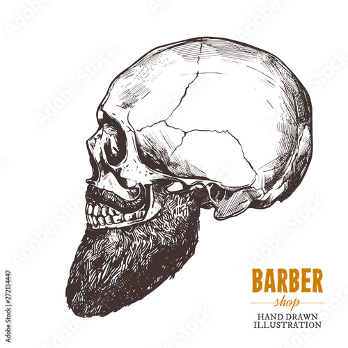 Hand drawn human skull with beard in the profile. Vector sketch engraving barbershop illustration