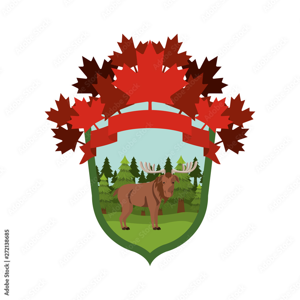 Isolated moose forest animal design