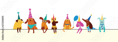 Funny dogs of different breeds in cones hats for party or birthday concept.