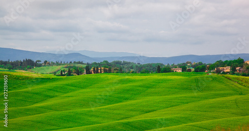 beautiful summer landscape with wavy hills. Tuscany Italy