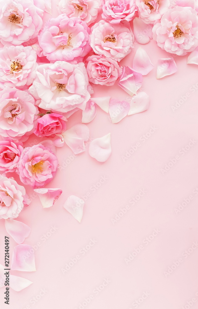 Flowers composition background. beautiful pale pink roses on pale pink    background.Top view.Copy space