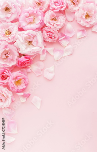 Flowers composition background. beautiful pale pink roses on pale pink background.Top view.Copy space