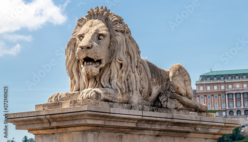 Lion on Chain Bridge on the Danube River in Budapest, Hungary