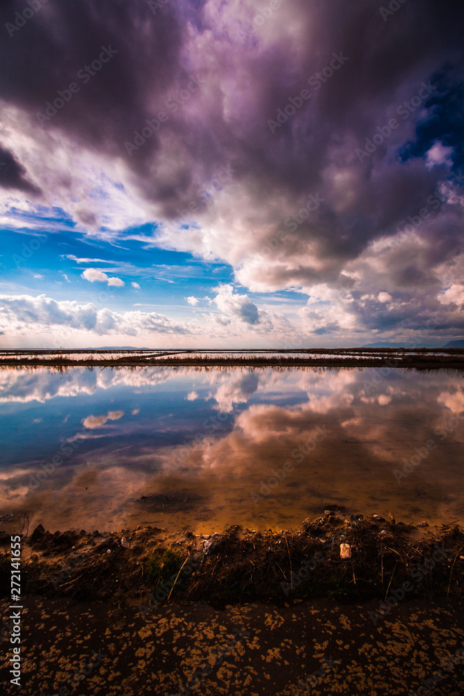 Obraz premium reflection