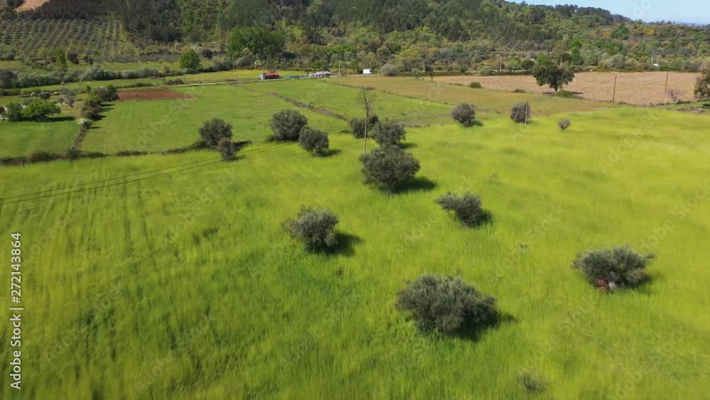 Above Meadow Field Toward Mountain, Central Portugal Above Meadow Field Toward Mountain, Central Portugal