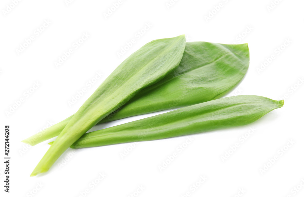 Leaves of wild garlic or ramson isolated on white Leaves of wild garlic or ramson isolated on white