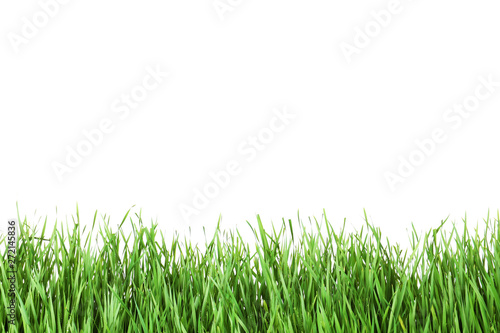 Beautiful vibrant green grass on white background