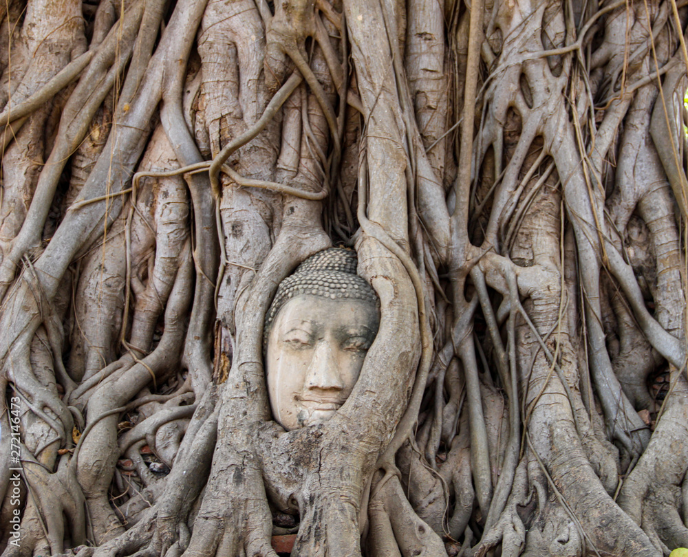 Head of Buddha at Wat Mahata in Ayutthaya, Thailand