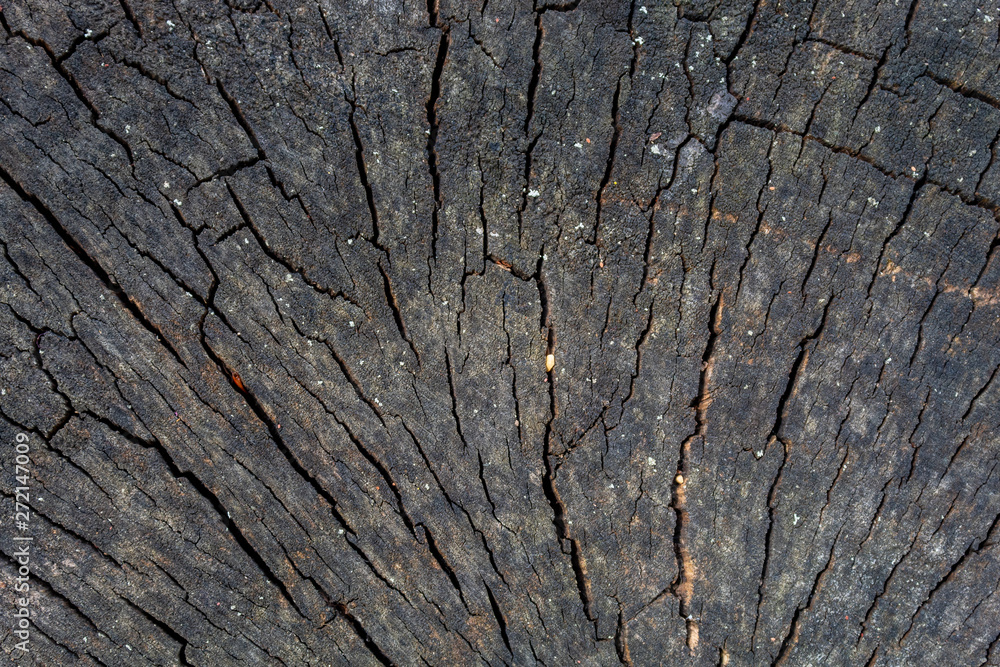Grayish Old Weathered Cracked Wood Texture Grayish Old Weathered Cracked Wood Texture