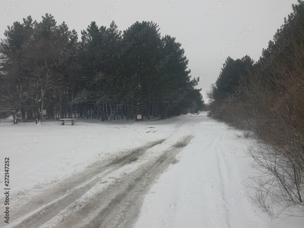 Obraz premium The winter snow landscape