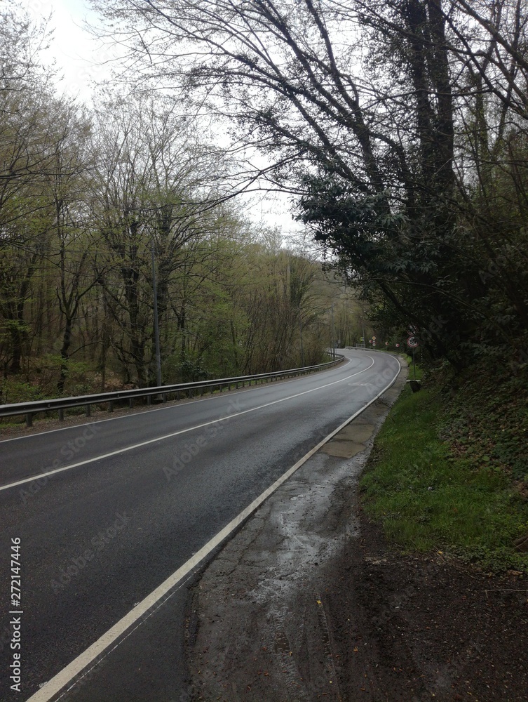 Fototapeta premium The road from forest