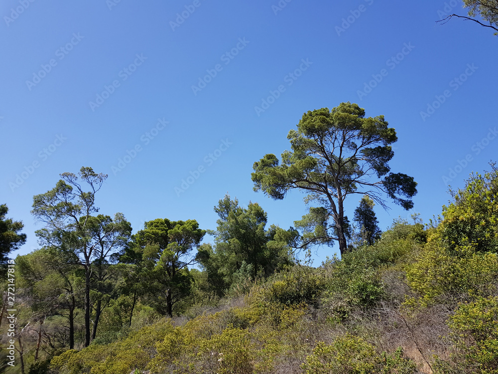 Obraz premium Krajobraz