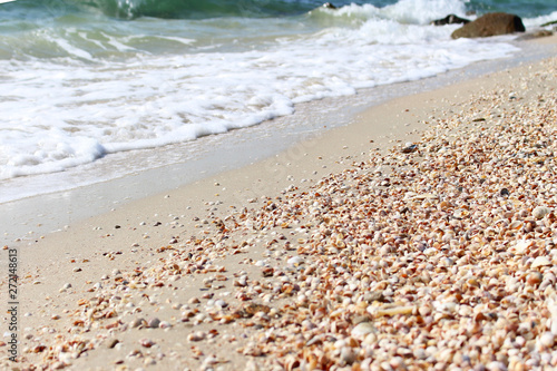 beach and sea