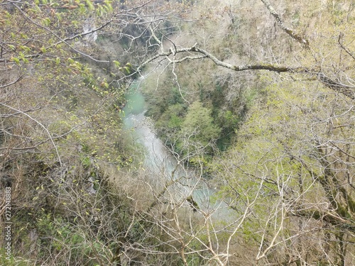 River from mountain forest