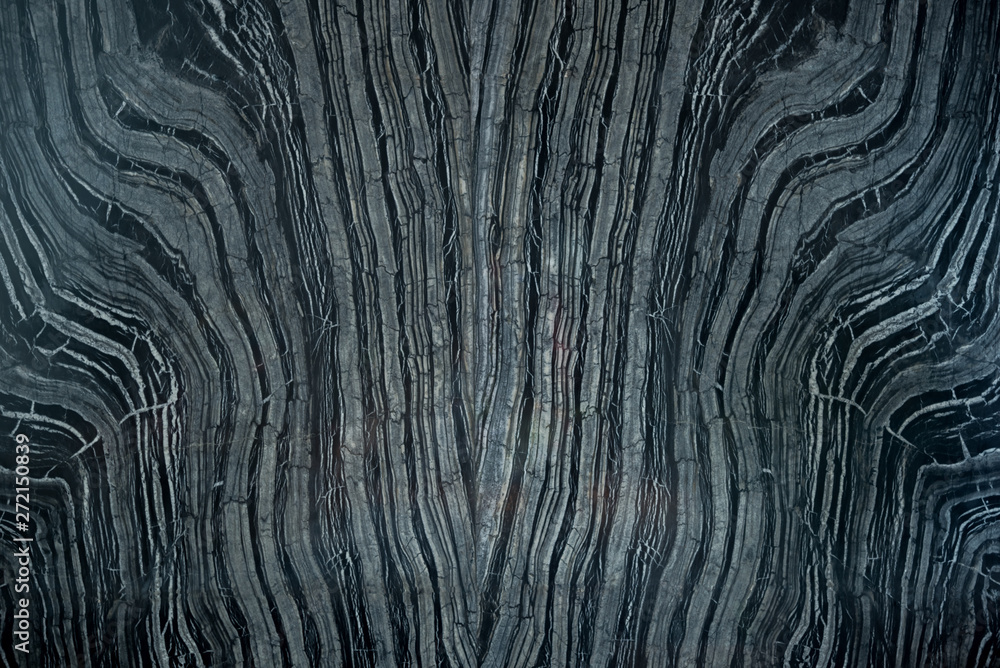 Full black forest marble wall , Black and white marble with pattern