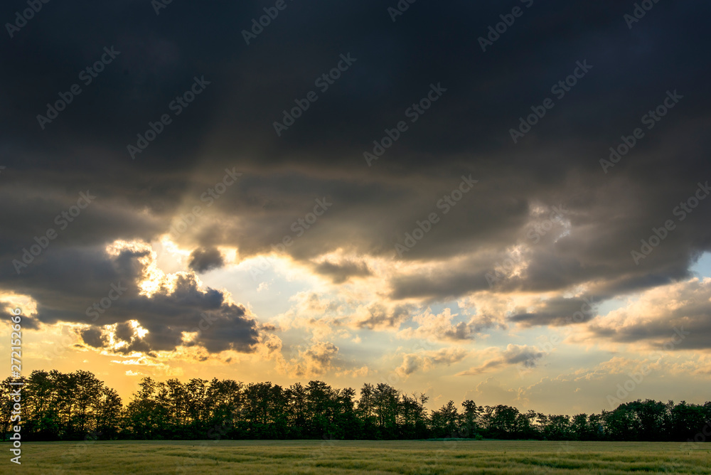 Obraz premium Wheat fields with beautiful clouds on the horizon
