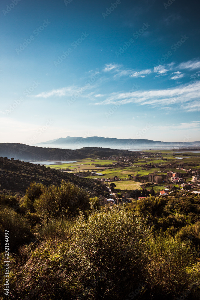 Naklejka premium LAndscape