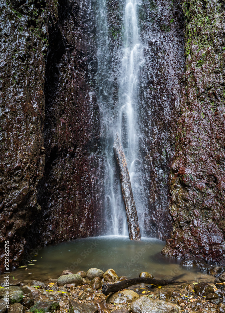 Fototapeta premium Bwa Nei waterfall Views around the caribbean island of Dominica West indies