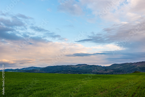 Fototapeta Naklejka Na Ścianę i Meble -  countryside landscape under blue sky and dramatic white clouds