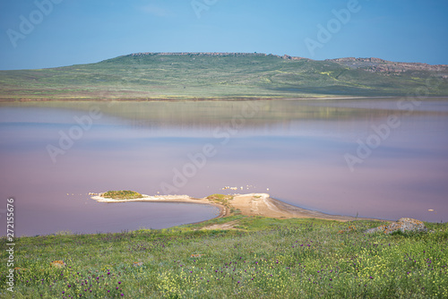 Crimea nature reserve - the road to traveln photo