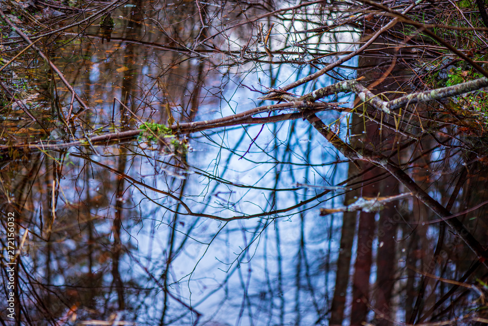 Obraz premium river in summer green shores with tree reflections in water