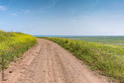 Crimea nature reserve - the road to traveln photo