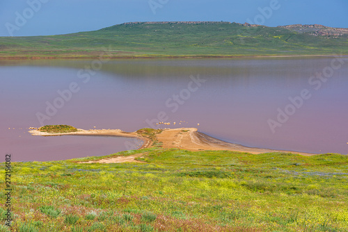 Crimea nature reserve - the road to traveln photo